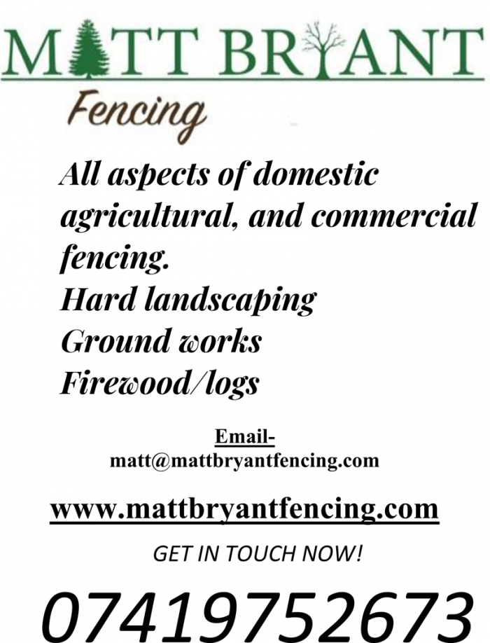 Matt Bryant fencing