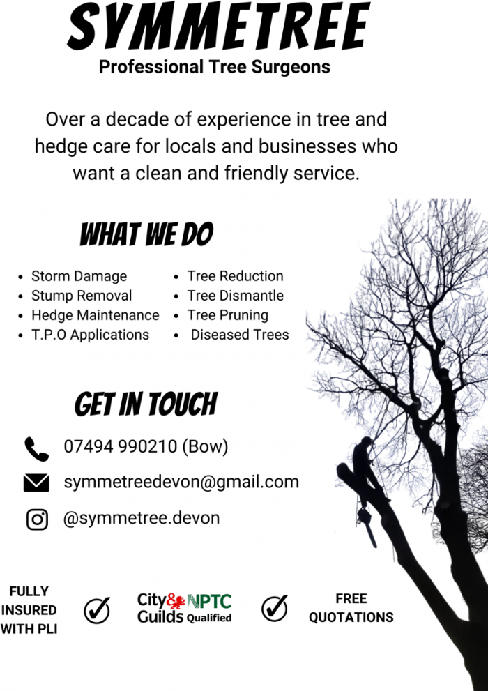 SymmeTree Tree and Hedge Care